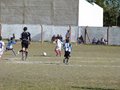P1010613