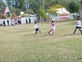 P1010593