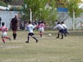 P1010590