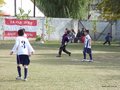 P1010598