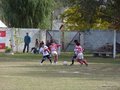 P1010588