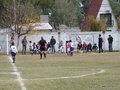 P1010586