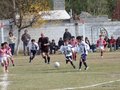 P1010591