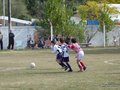 P1010594