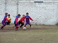 P1020311