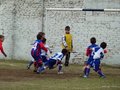 P1020292