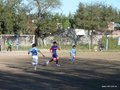 P1020492