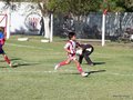 P1000313