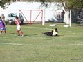 P1000310