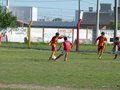 P1060322