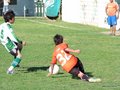 P1060341