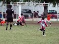 P1060569