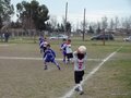 P1040288