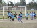 P1040363