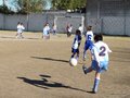 P1040506