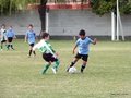 LVBF12F 163