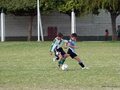 LVBF12F 157