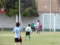 LVBF12F 146