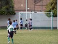 LVBF12F 144