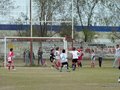 LVBF16F 083