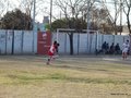 LVBF19F 087