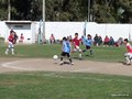 LVBF10FC 036