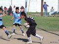 LVBF10FC 061