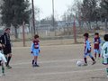 LVBF1FC 031
