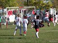 LVBF13FA2013 067