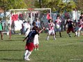 LVBF13FA2013 066