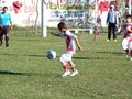 LVBF13FA2013 068