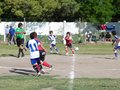 LVBF1FA2013 064