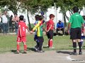 LVBF1FA2013 073