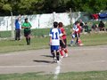 LVBF1FA2013 063