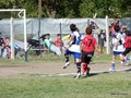LVBF1FA2013 066