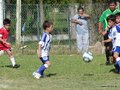 LVBF1FA2013 068