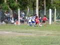 LVBF1FA2013 067