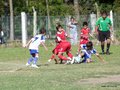 LVBF1FA2013 069