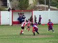 LVBF4FA2013 034
