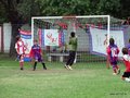 LVBF4FA2013 013