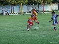 LVBF7FA2013 072