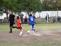 LVBF11FC2013 054