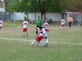 LVBF14FC2013 083