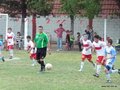 LVBF14FC2013 081