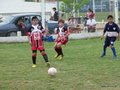 LVBF14FC2013 060