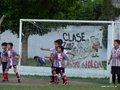 LVBF19FC2013 058