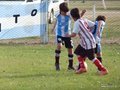 LVBF3FC2013 083