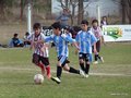LVBF3FC2013 064