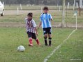 LVBF3FC2013 071