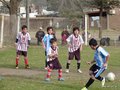 LVBF3FC2013 077